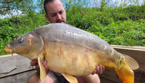 A carp from Fullys Lake, Aug 2023