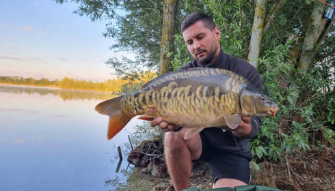 A carp from Fullys Lake, Jul 2022