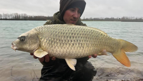 A carp from Fullys Lake, Feb 2022
