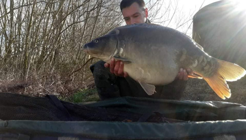 A carp from Fullys Lake, Mar 2022
