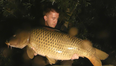 A carp from Fullys Lake, Jun 2023