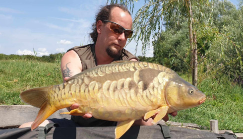 A carp from Fullys Lake, Jul 2023