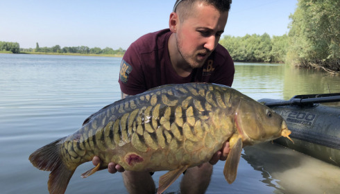 A carp from Fullys Lake, Feb 2022