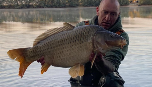A carp from Fullys Lake, Feb 2022
