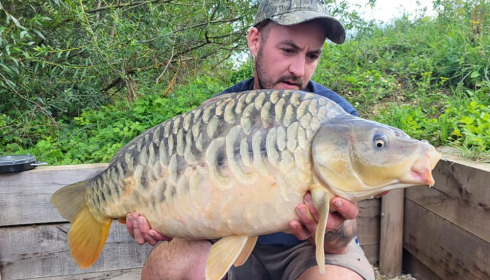 A carp from Fullys Lake, Aug 2023
