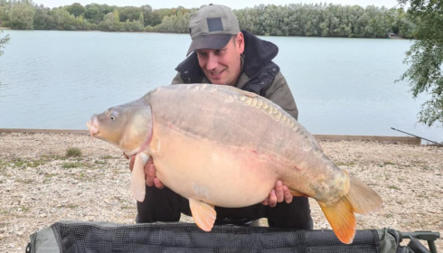 A carp from Fullys Lake, Oct 2022