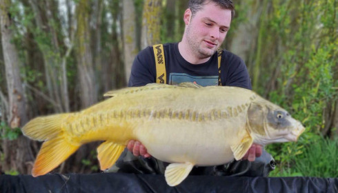 A carp from Fullys Lake, May 2023