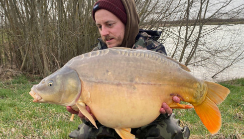 A 30 lb carp from Fullys Lake, MATZ, Mar 2022