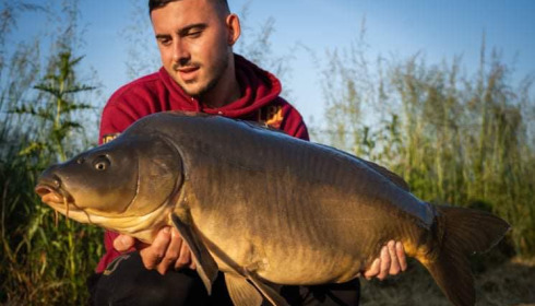 A carp from Fullys Lake, Mar 2022