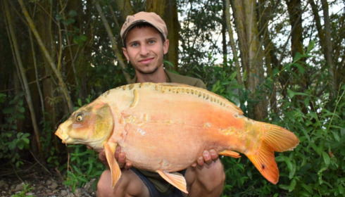 A carp from Fullys Lake, Aug 2022