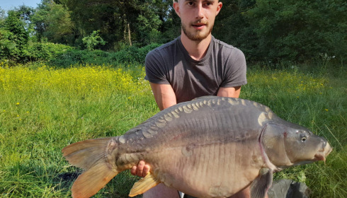 A carp from Fullys Lake, Jul 2023
