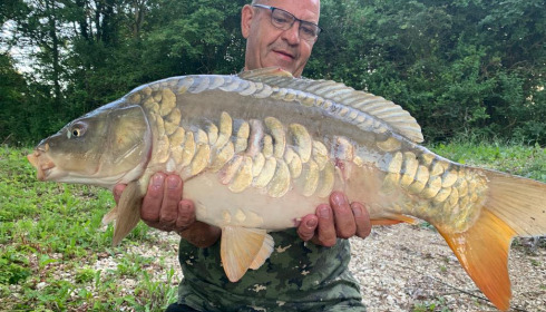 A carp from Fullys Lake, Jun 2023
