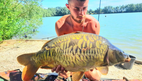 A carp from Fullys Lake, Jul 2023