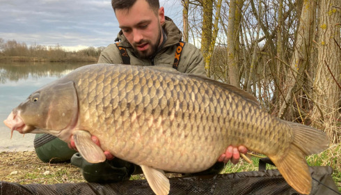 A carp from Fullys Lake, Mar 2022