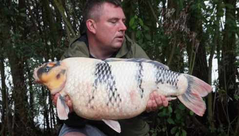 A carp from Fullys Lake, Aug 2023