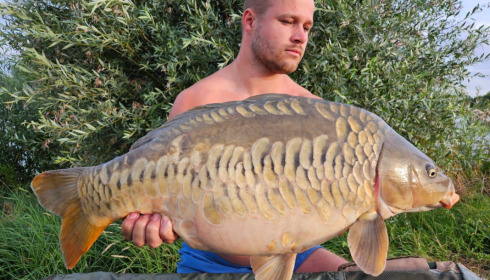 A carp from Fullys Lake, Jul 2023