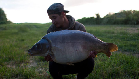 A carp from Fullys Lake, Feb 2022