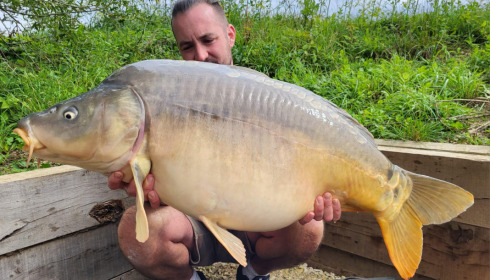 A carp from Fullys Lake, Aug 2023