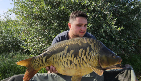 A carp from Fullys Lake, Jul 2023