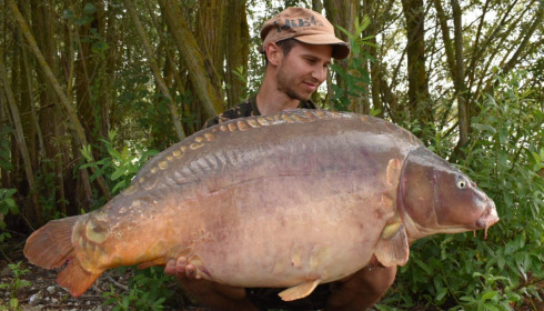 A carp from Fullys Lake, Aug 2022