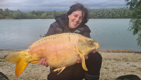 A carp from Fullys Lake, Oct 2022