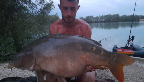 A carp from Fullys Lake, Jul 2023
