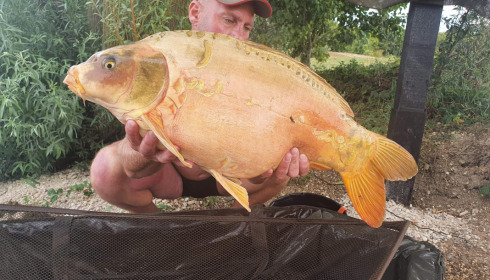 A carp from Fullys Lake, Aug 2022