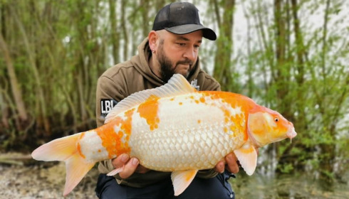 A carp from Fullys Lake, Mar 2022