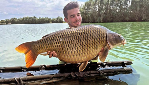 A carp from Fullys Lake, Aug 2022