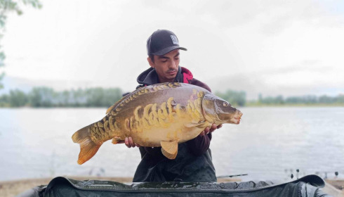 A carp from Fullys Lake, Jul 2023