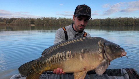 A carp from Fullys Lake, Feb 2022