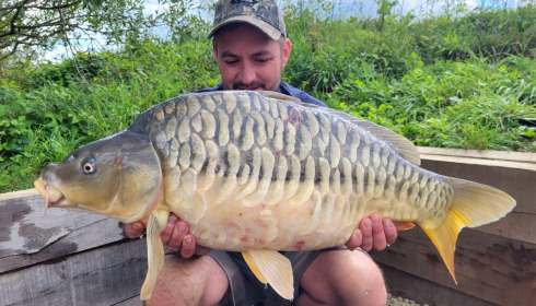 A carp from Fullys Lake, Aug 2023