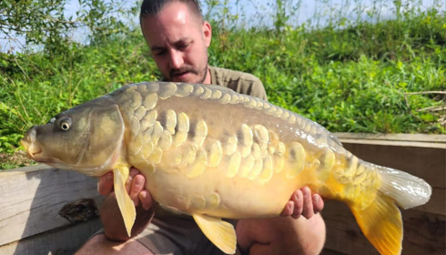 A carp from Fullys Lake, Aug 2023