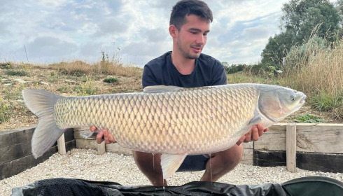 A carp from Fullys Lake, Aug 2022