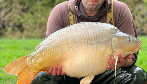 A carp from Fullys Lake, Oct 2022