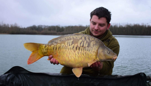 A carp from Fullys Lake, Jan 2023