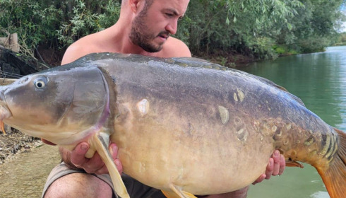 A carp from Fullys Lake, Aug 2023