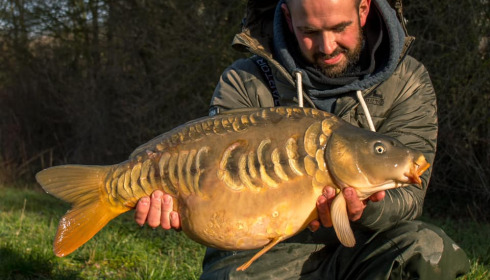 A carp from Fullys Lake, Mar 2022