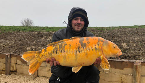 A carp from Fullys Lake, Jan 2023