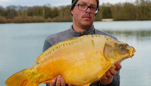 A carp from Fullys Lake, Mar 2023