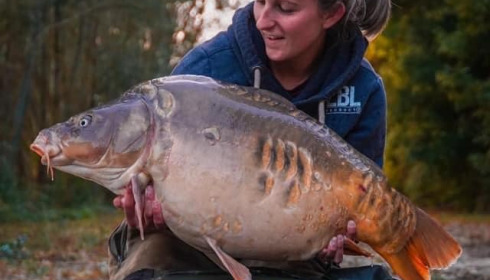 A carp from Fullys Lake, Feb 2022