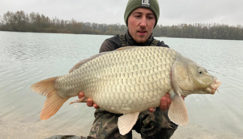A carp from Fullys Lake, Jan 2022