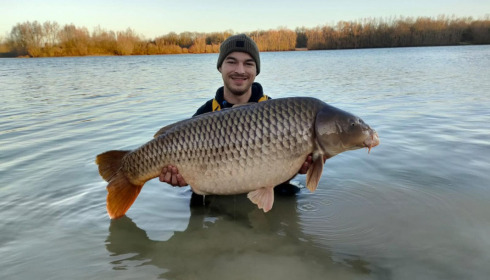 A carp from Fullys Lake, Jan 2023