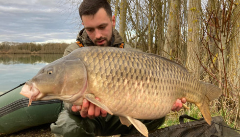 A carp from Fullys Lake, Feb 2022