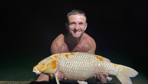 A carp from Golden Carp Lake, Sep 2022