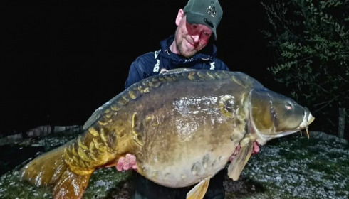 A carp from Golden Carp Lake, Apr 2023