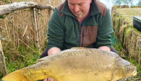 A carp from Golden Carp Lake, Mar 2022