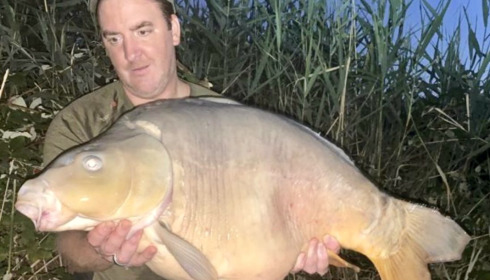A carp from Golden Carp Lake, Aug 2022