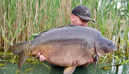 A carp from Golden Carp Lake, May 2022
