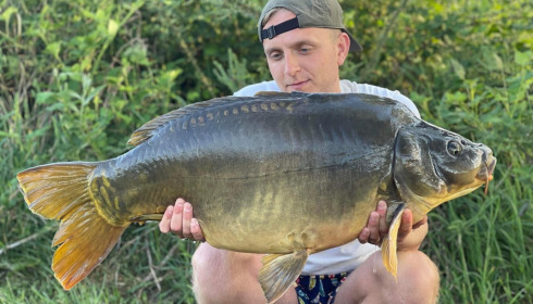 A carp from Golden Carp Lake, May 2022